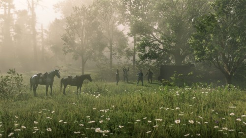 Red Dead Redemption 2 PC meadow